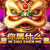 RTP joker powerplay128